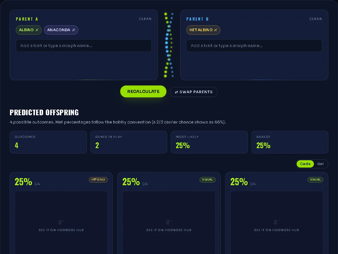 The KeeperOS Western Hognose genetics calculator: Parent A and Parent B trait pickers joined by the DNA helix, with the predicted offspring odds below